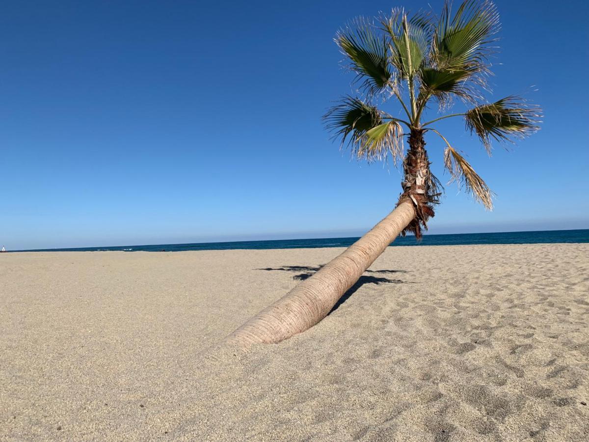 Residence La Pinede Le Barcarès エクステリア 写真