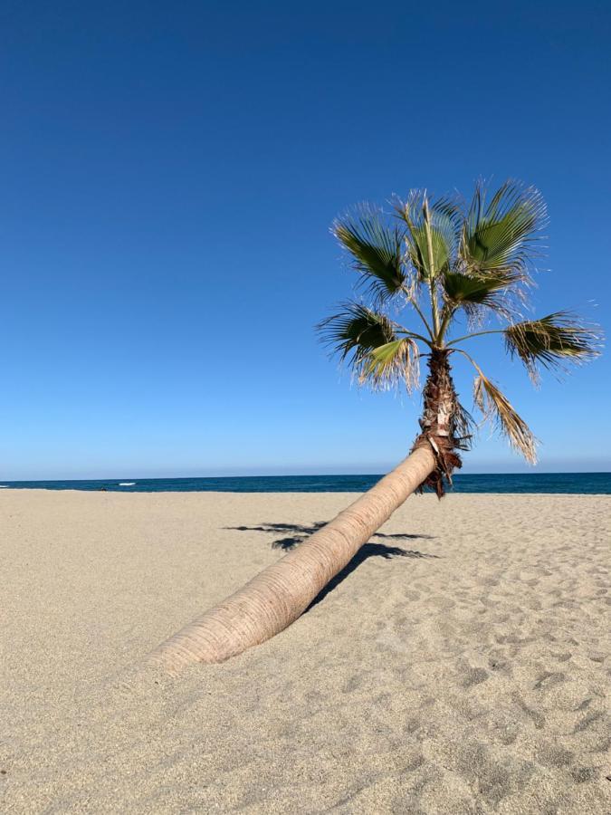 Residence La Pinede Le Barcarès エクステリア 写真